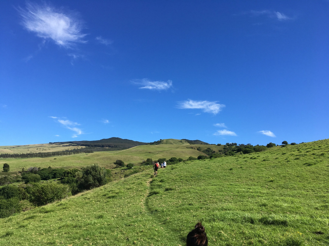 Ohana Guides-库克船长必去景点