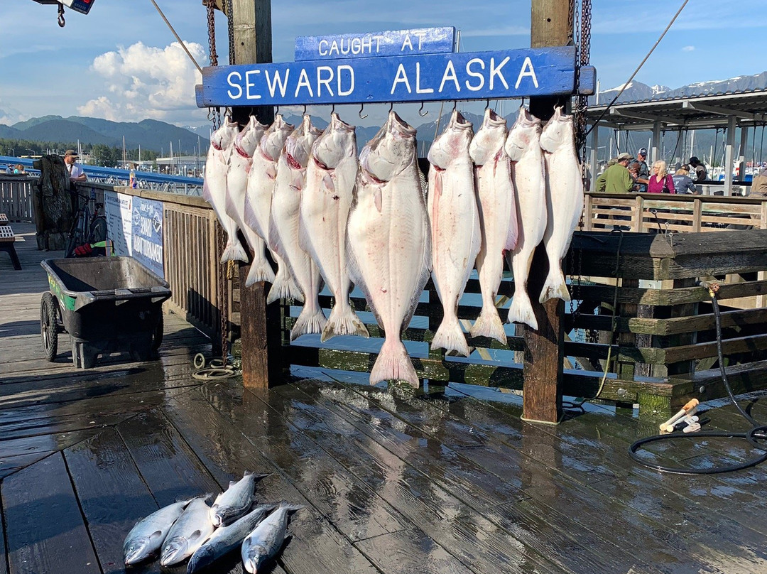 Seward Boat Harbor景点图片