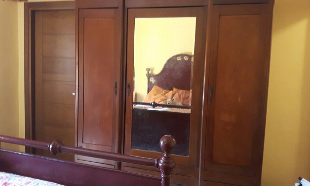 Agriturismo I Suri主图