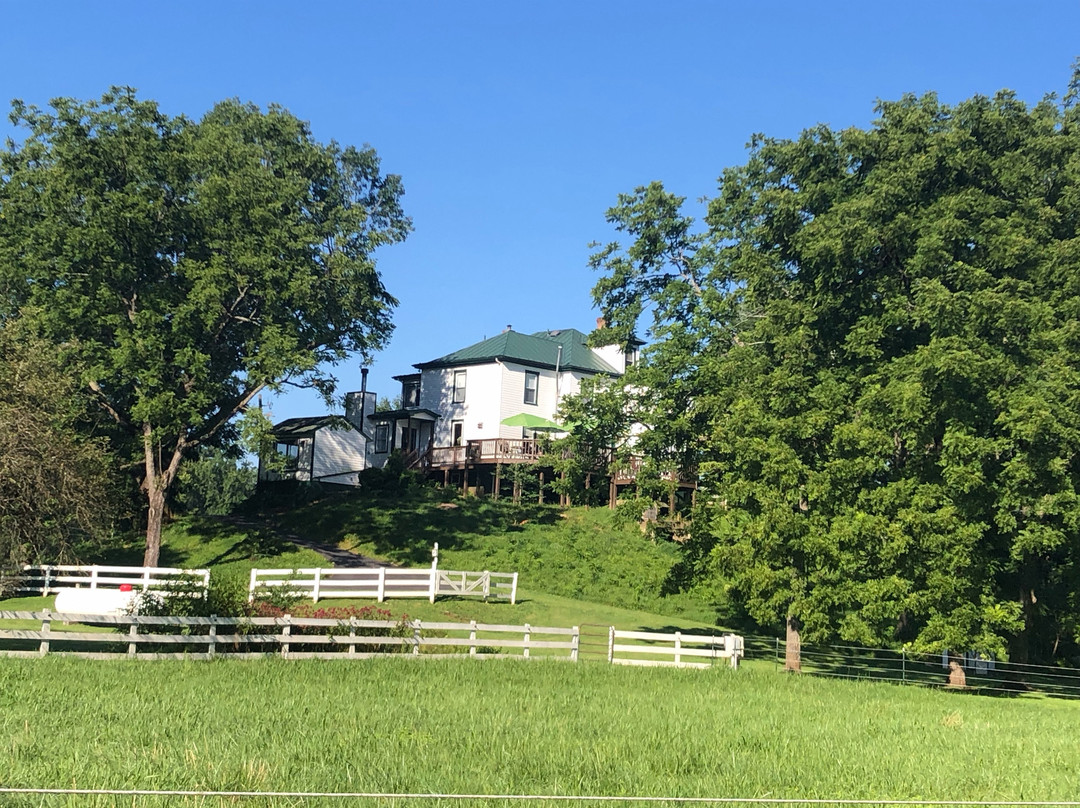 Nellysford Country Inn主图