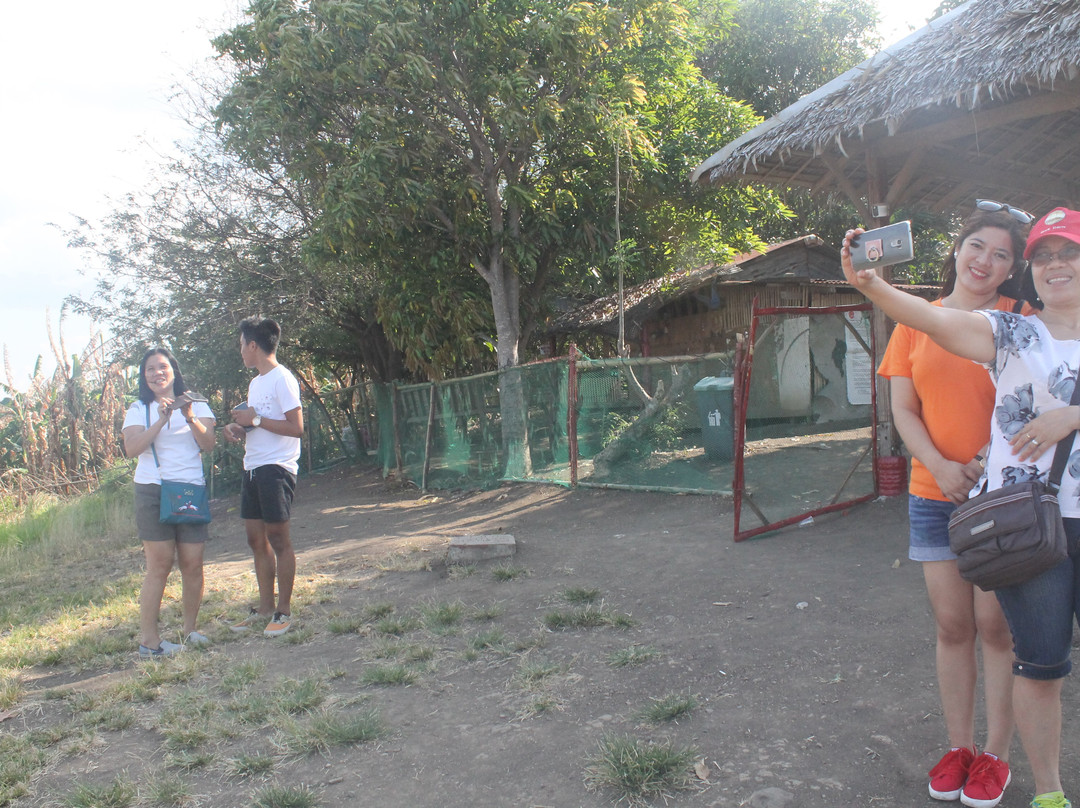 Monitor Gear-Carmona必去景点