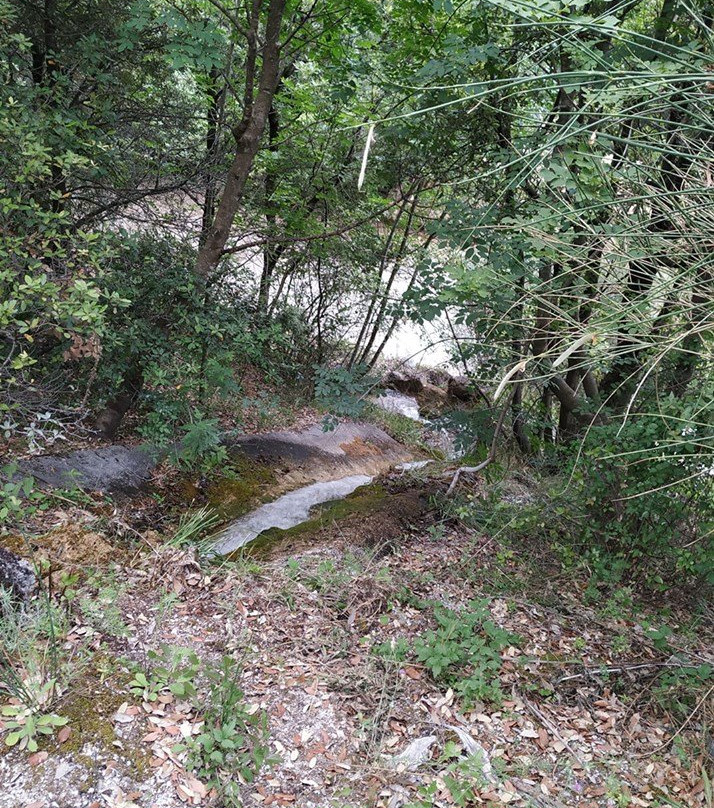 Agriturismo Colloreto主图