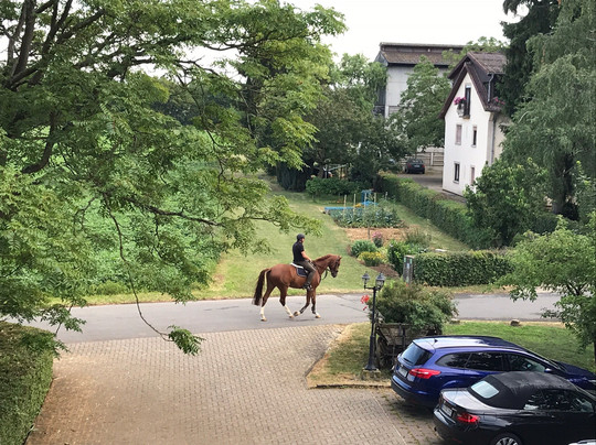 Birkenhof Garni主图