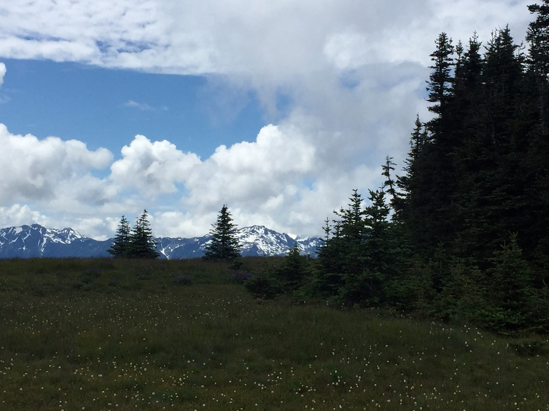 Olympic National Park Visitor Center景点图片