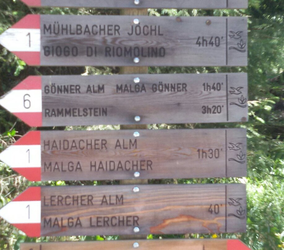 LercherAlm Oberwielenbach-Perca必去景点