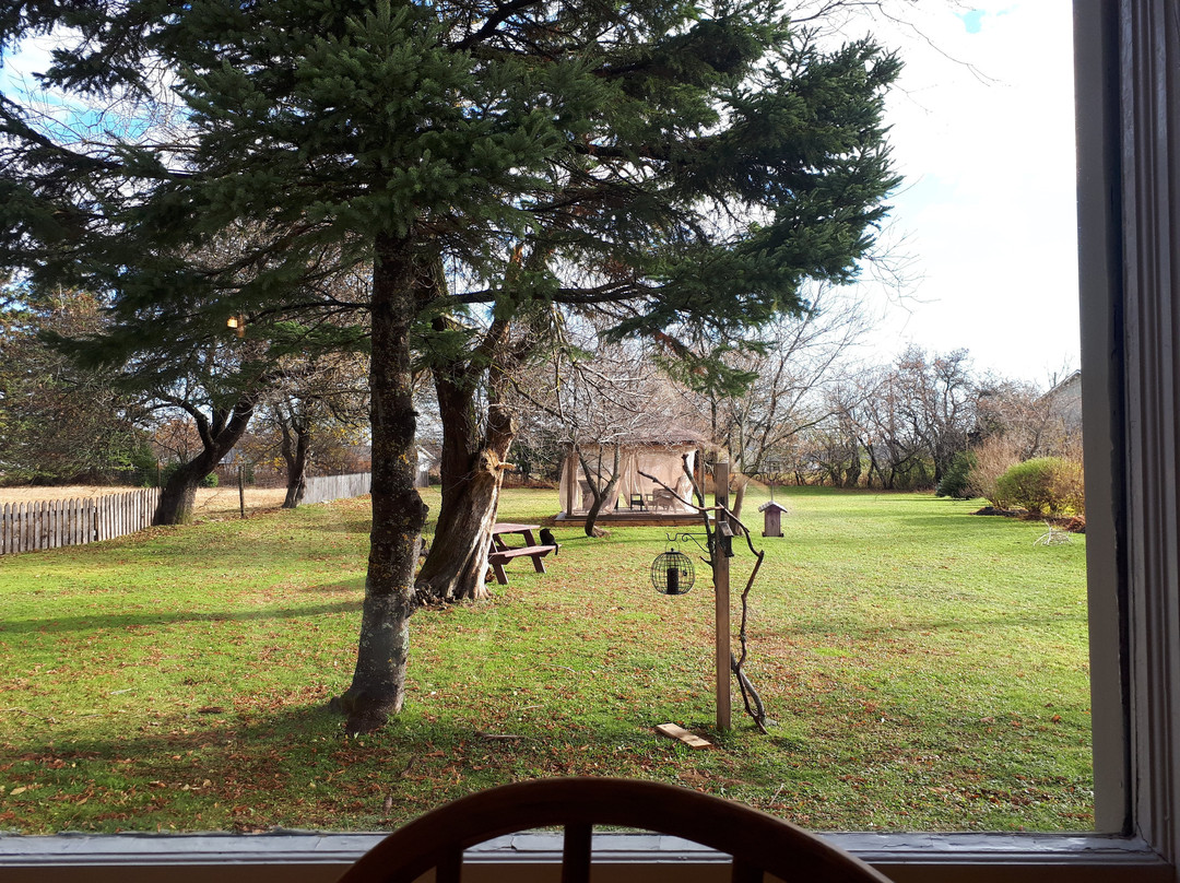 WillowGreen Farm主图