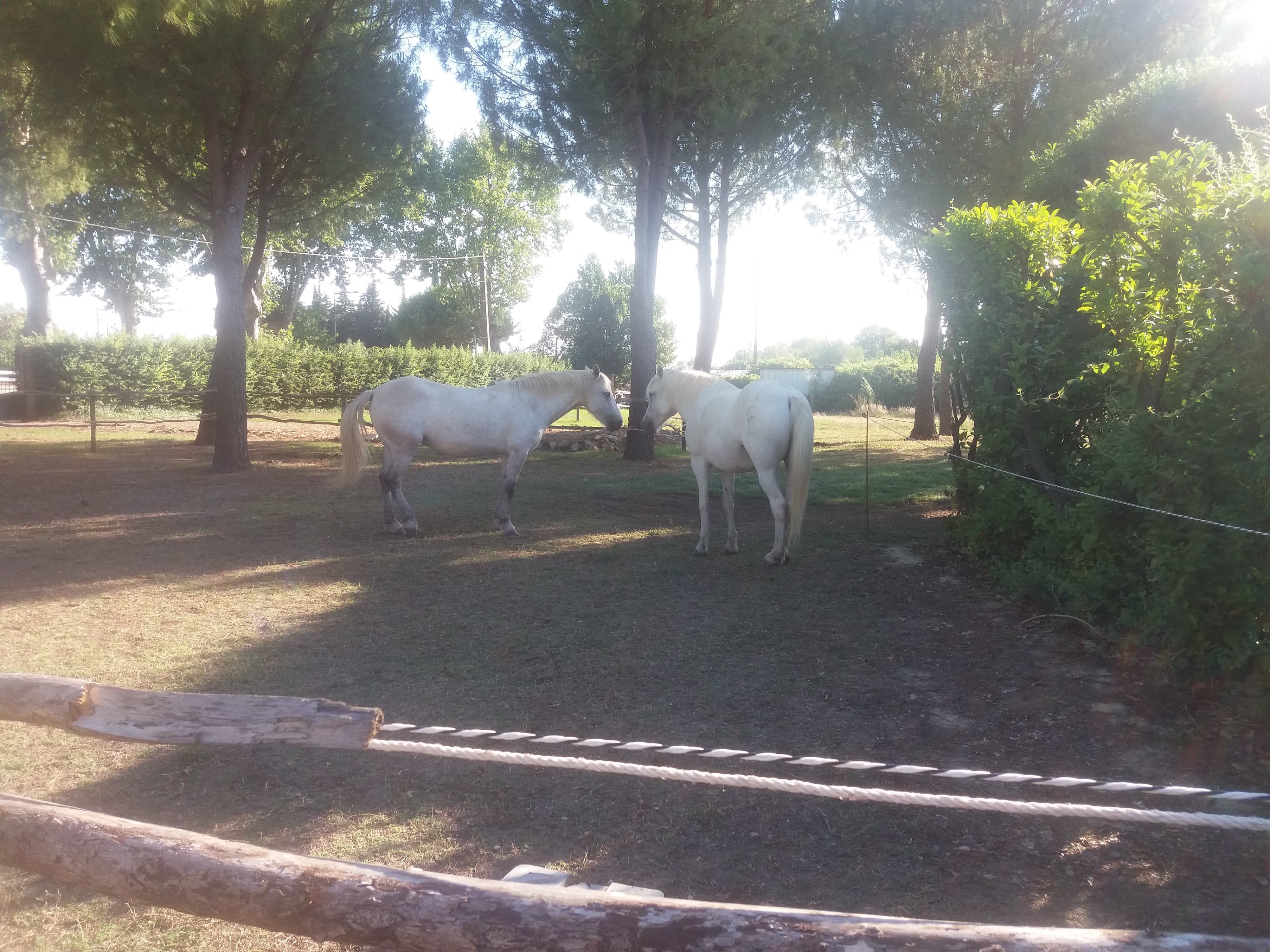 洛加宾酒店-官方