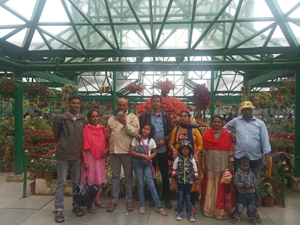 Lobosa Comforts主图