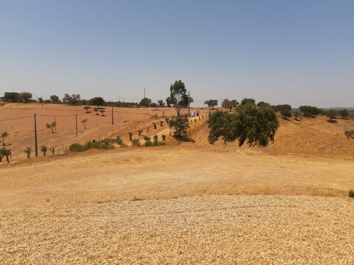 Agroturismo Flores do Campo主图