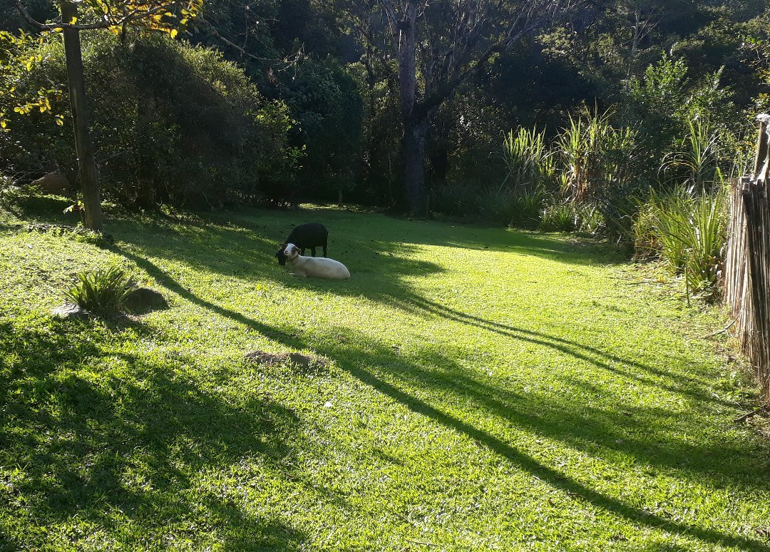 Casarao do Cafe-Salesopolis必去景点