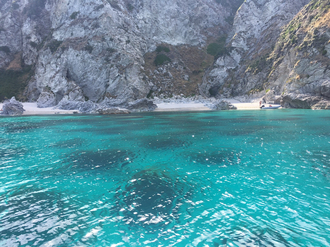 Escursioni Delfino景点图片