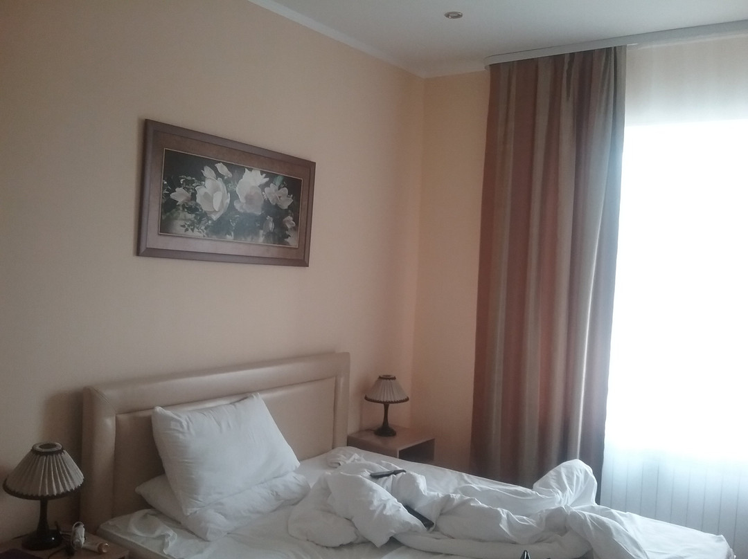 Hotel Onego主图
