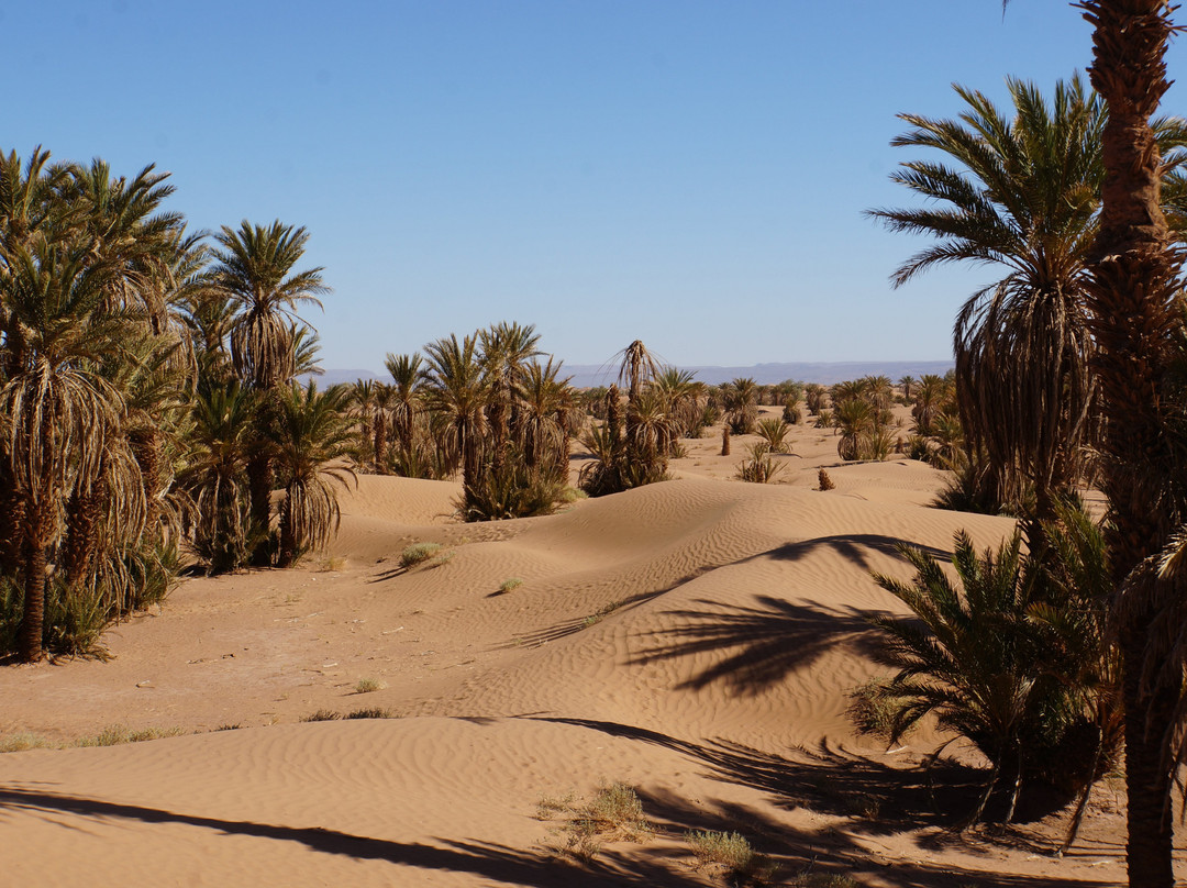 达尔阿扎瓦德酒店主图