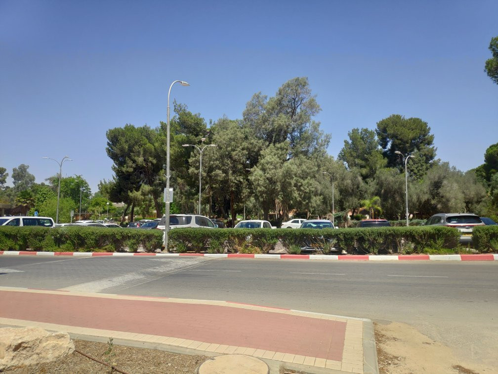 HaMasgeria - Pub Kibbutz Hazerim-贝尔谢巴必去景点