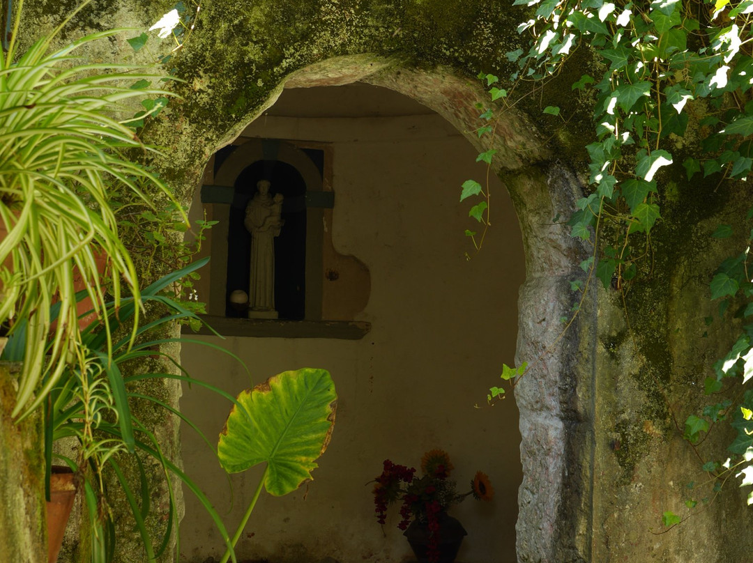 Casa dos Arrábidos主图