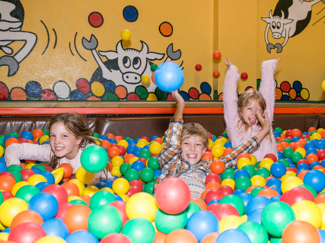 Trethorne Leisure Park-朗塞斯顿必去景点