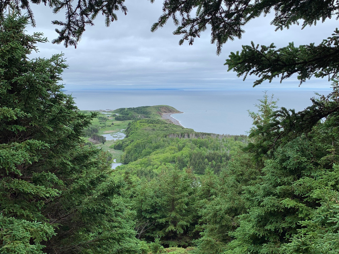 Cape Mabou Highlands Hiking Trails景点图片