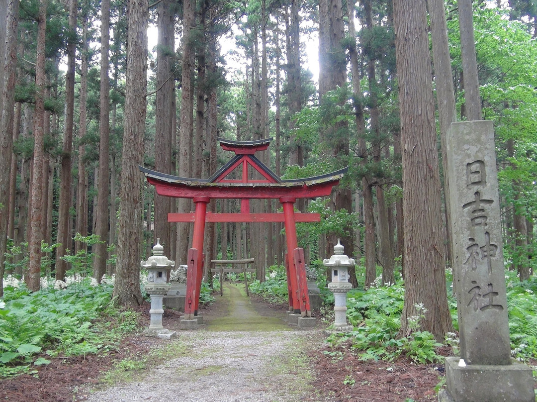 Sannobo Hie Shrine景点图片