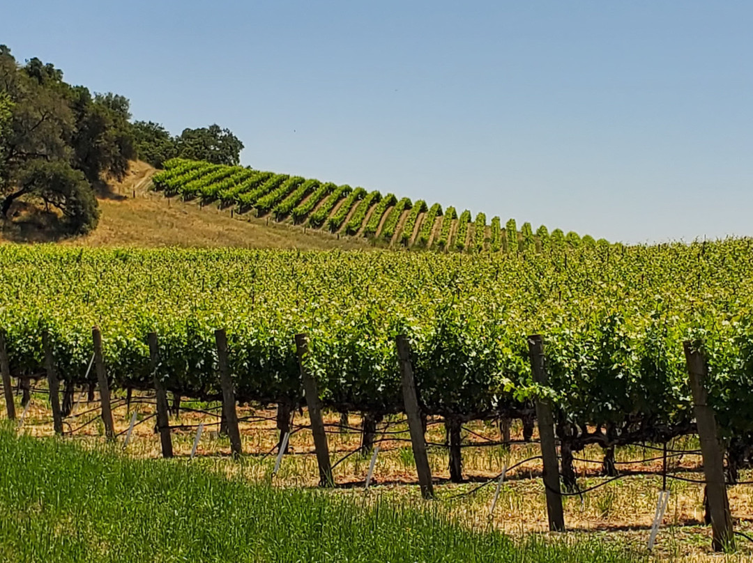 Garden Creek Ranch Vineyards Winery景点图片