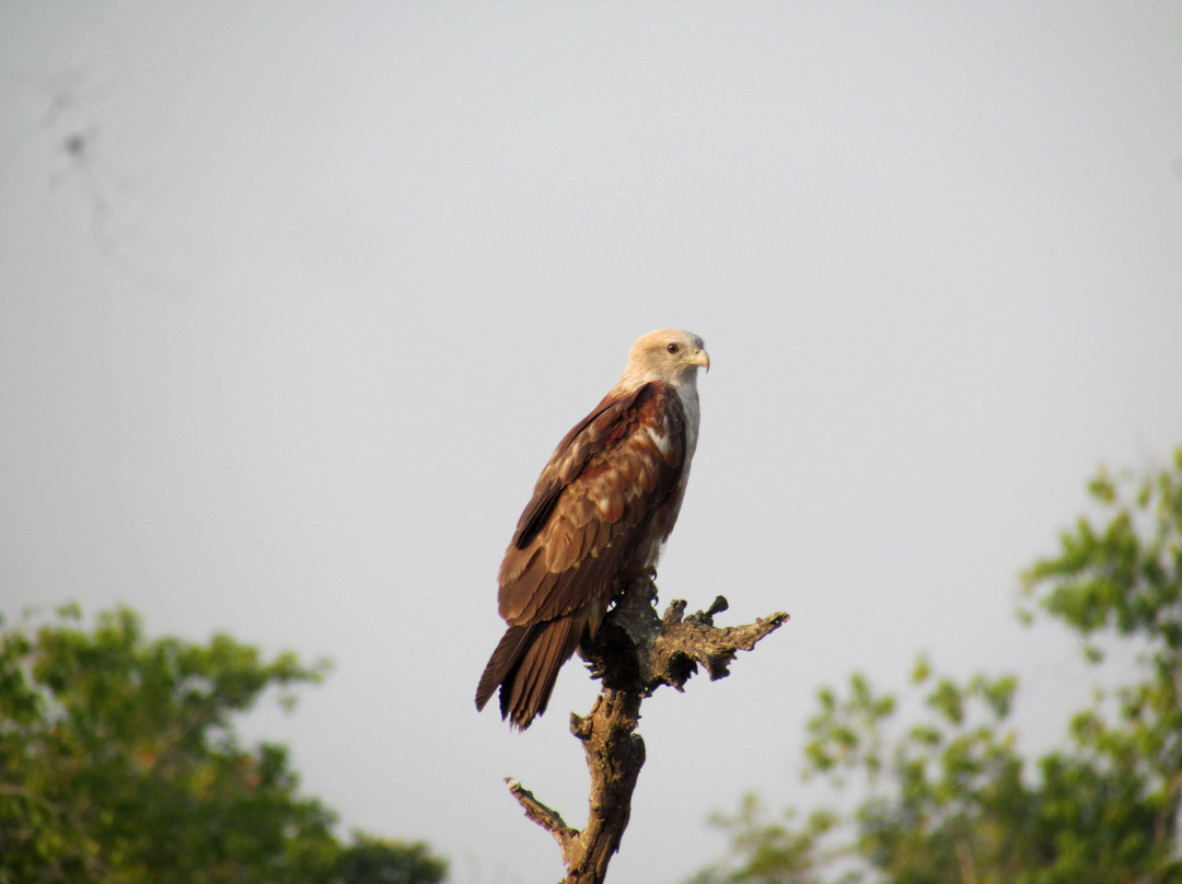 Lets Meet Up Sundarban-Gosaba必去景点