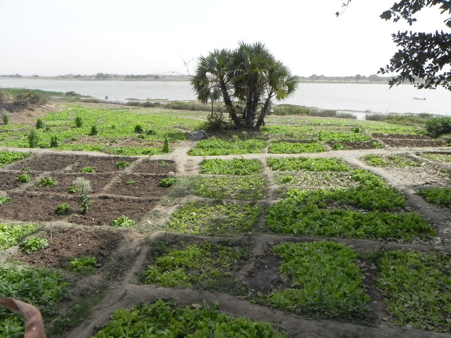 Hotel La Tchadienne主图