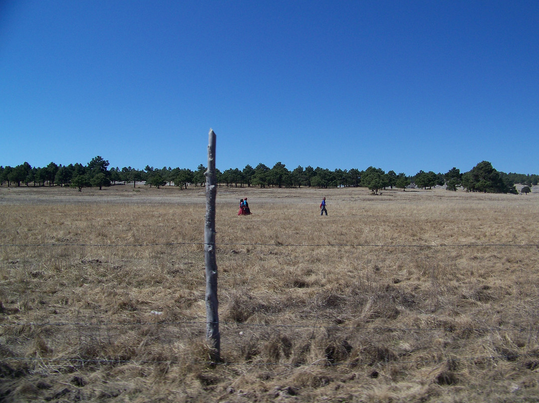 San Ignacio Mission-科波坎农必去景点
