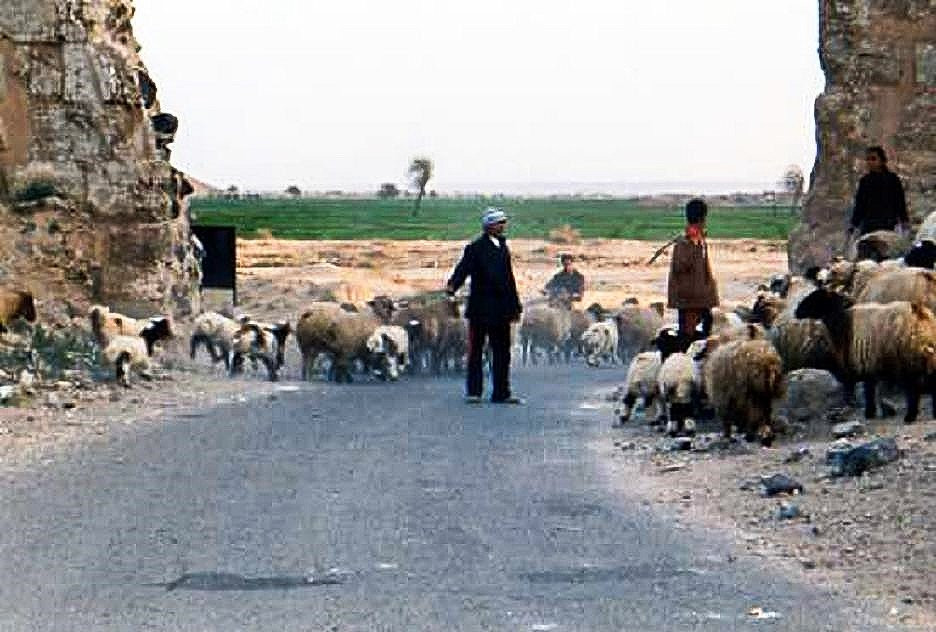 Halabiye and Zalabiye-Deir Ezzor必去景点