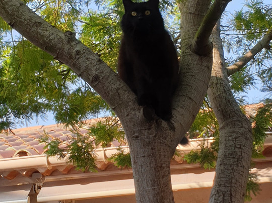 Hotel La Jabotte主图