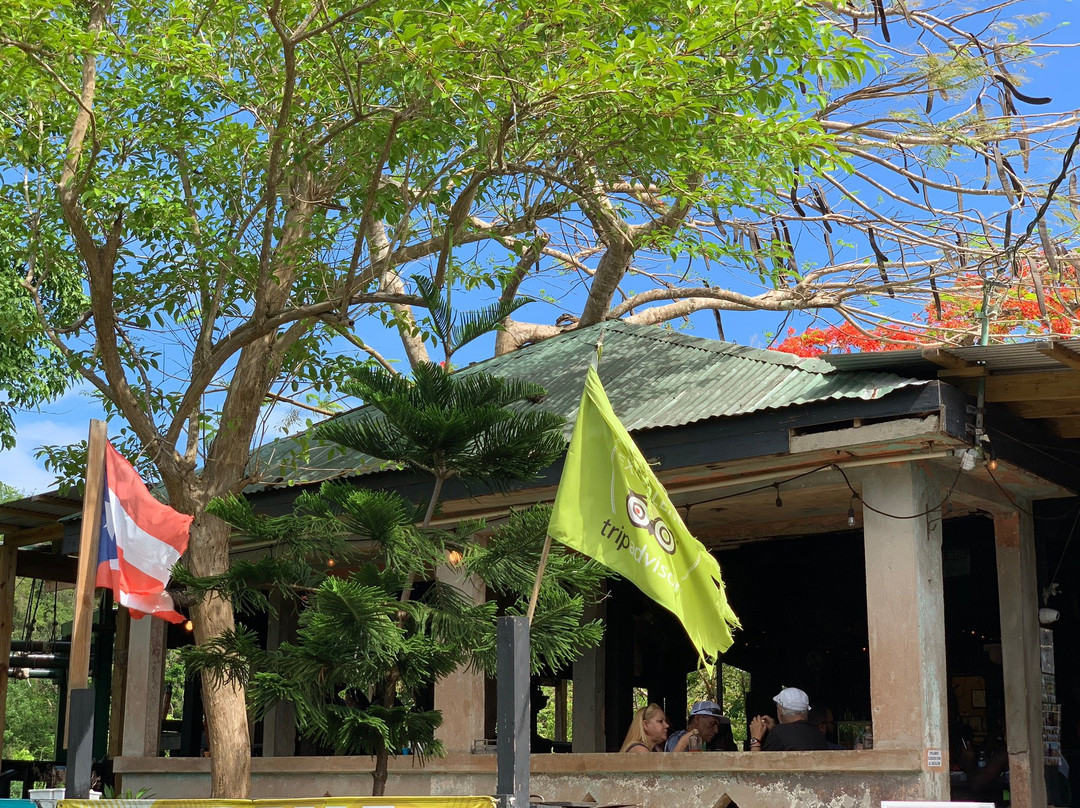 Campo Rico Ziplining Adventures-圣胡安必去景点