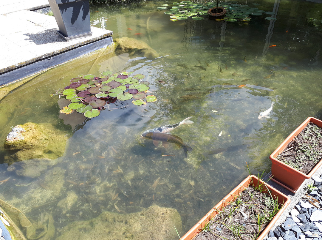 湖花园酒店主图