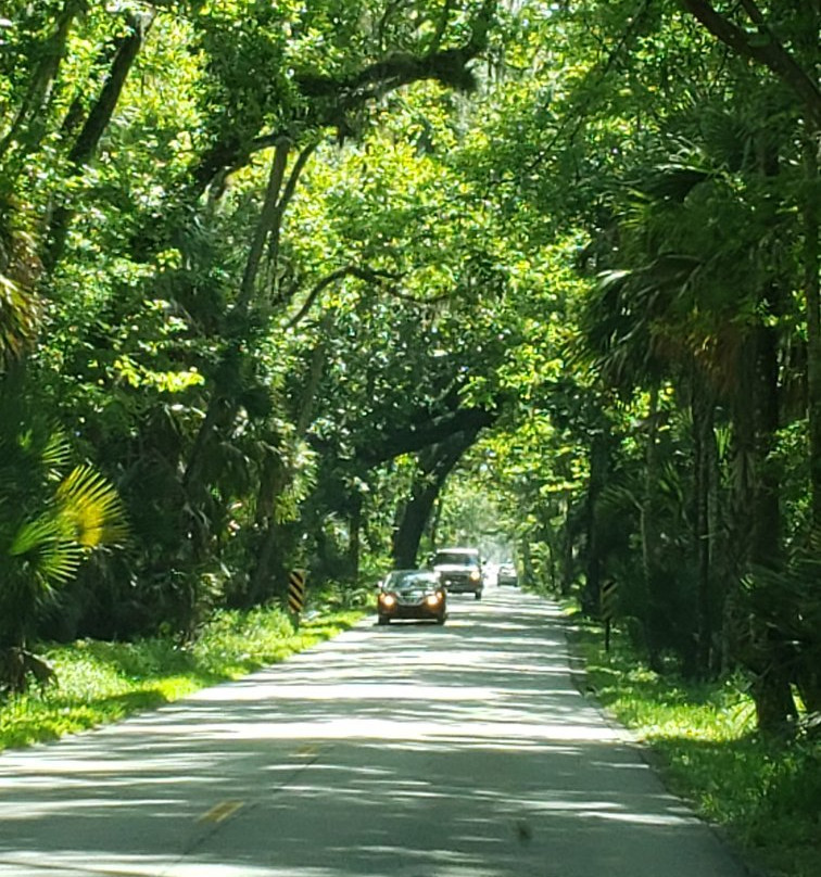 Ormond Scenic Loop & Trail-奥蒙德海滩必去景点