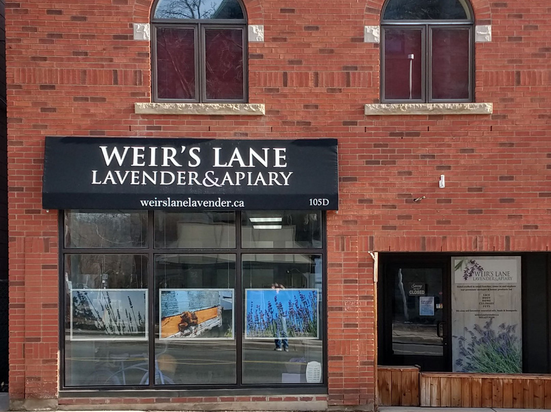 Weir's Lane Lavender and Apiary景点图片