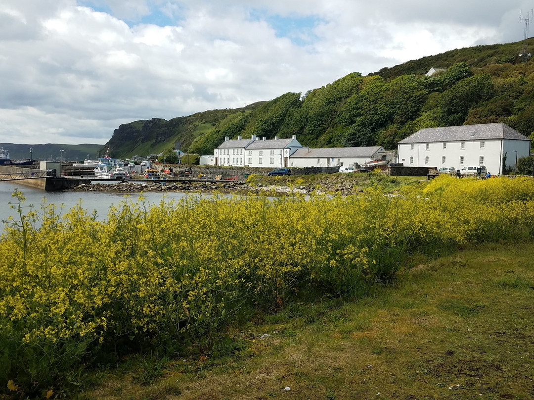 Manor House Rathlin主图