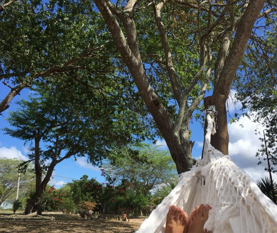 Pousada Fazenda Santa Fe主图