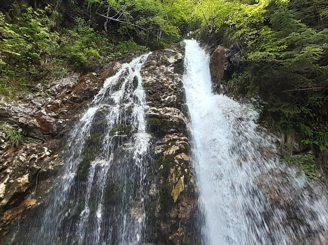 Cascada Urlatoarea景点图片