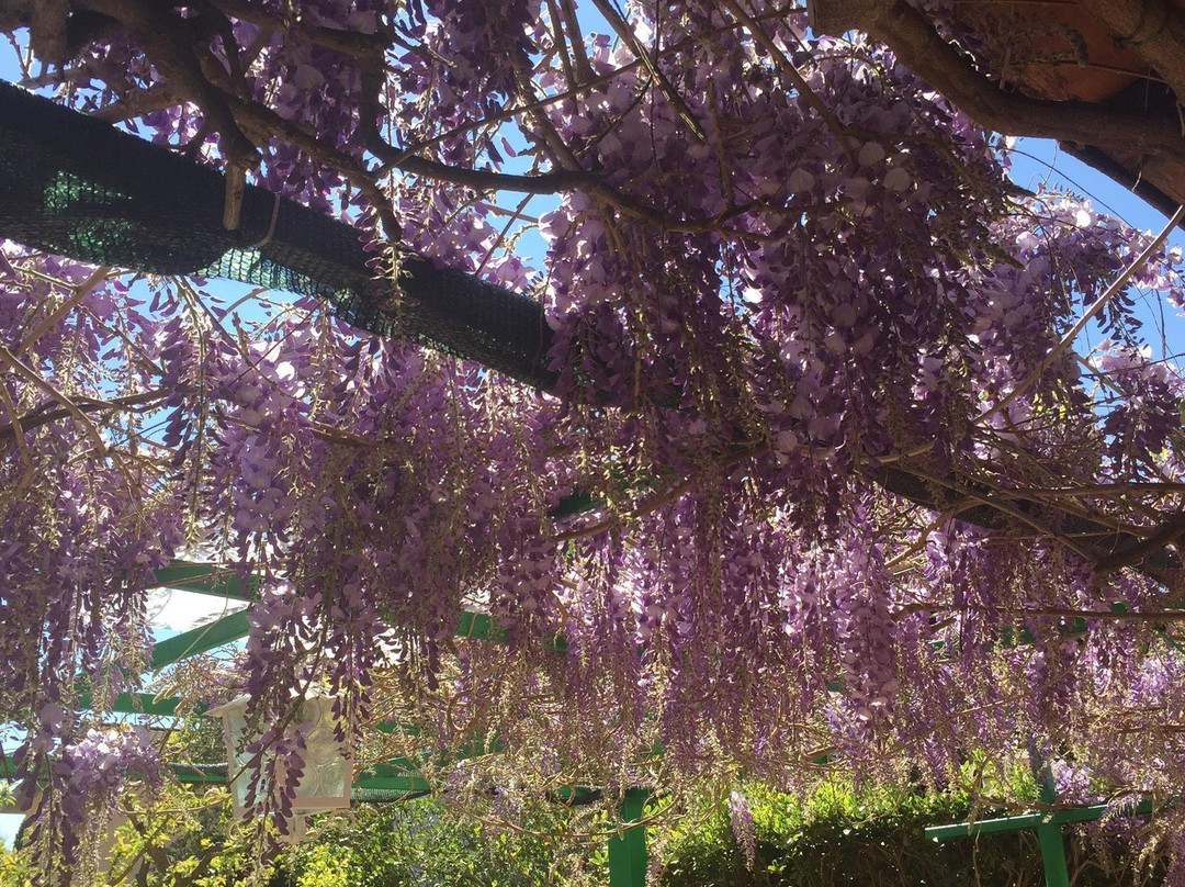 Casa di Campagna Dal Pozzo主图