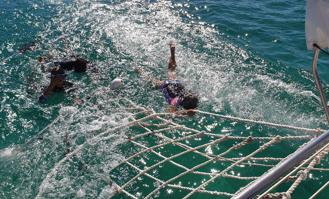 Coral Breeze Cruises-珊瑚湾必去景点