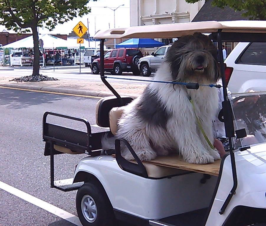 Somers Cove Marina-Crisfield必去景点