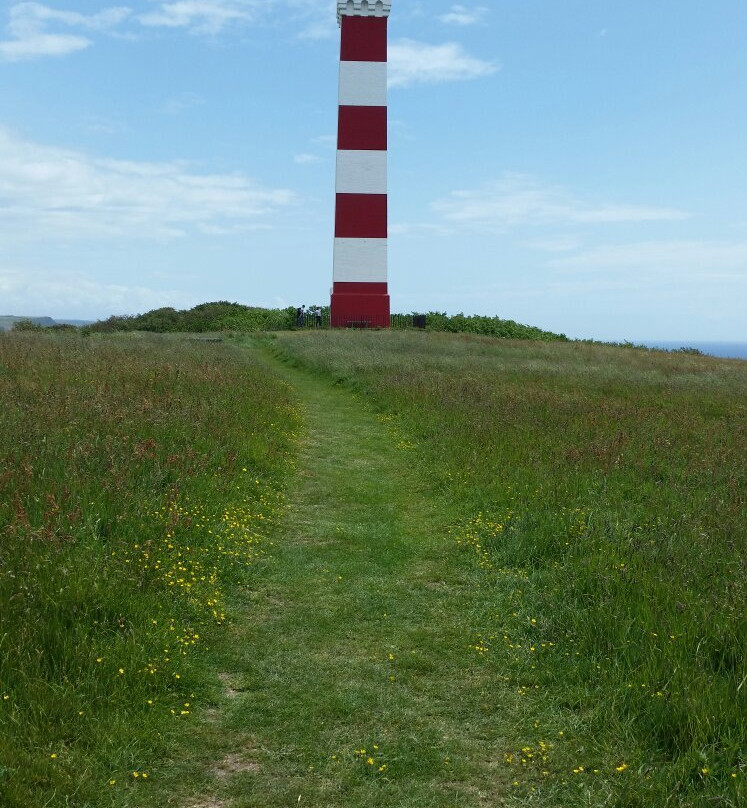 Gribbin Head-福伊必去景点