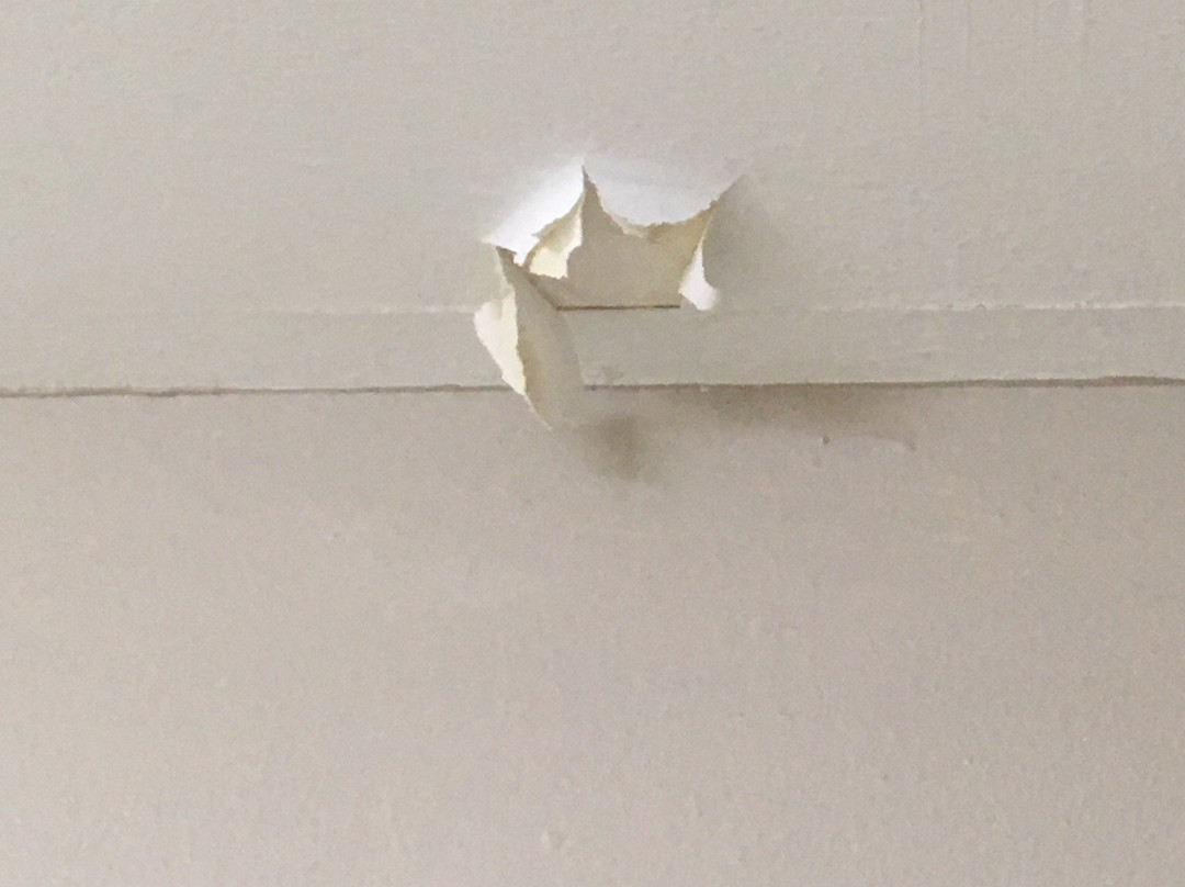 Baymont by Wyndham Kingsland主图