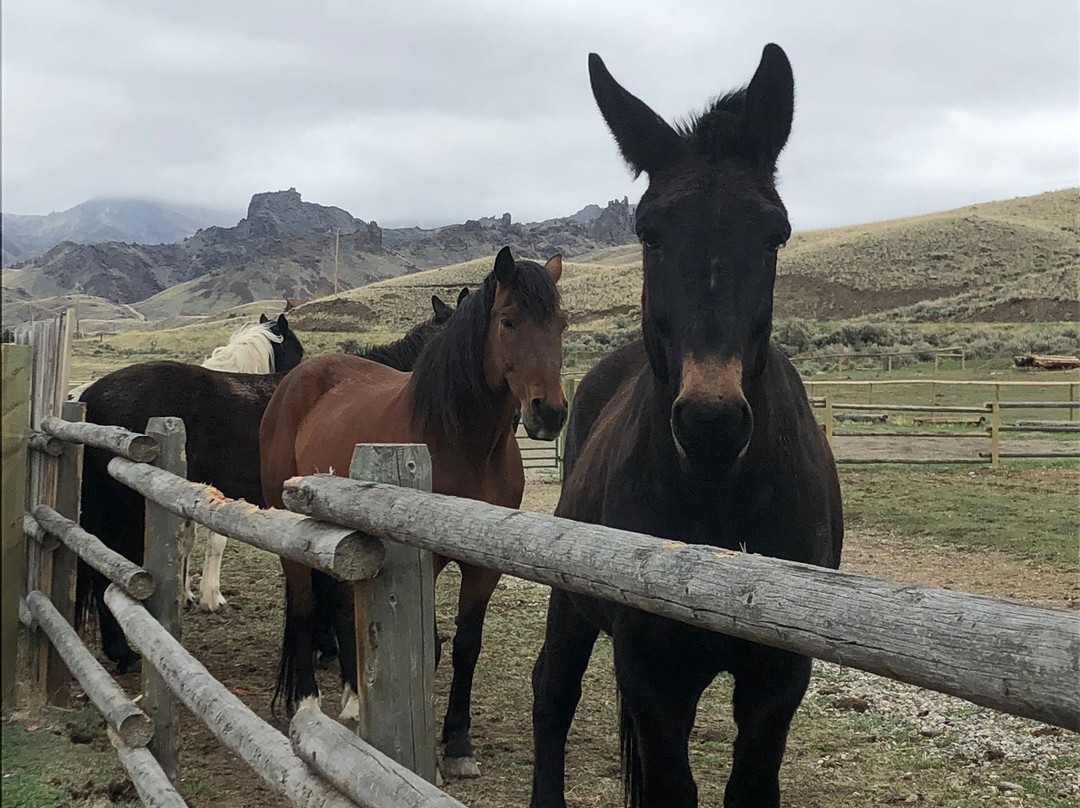 Yellowstone Cutthroat Guest Ranch主图