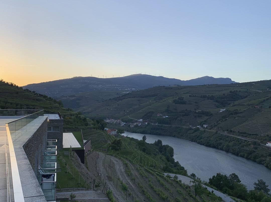 Delfim Douro Hotel主图