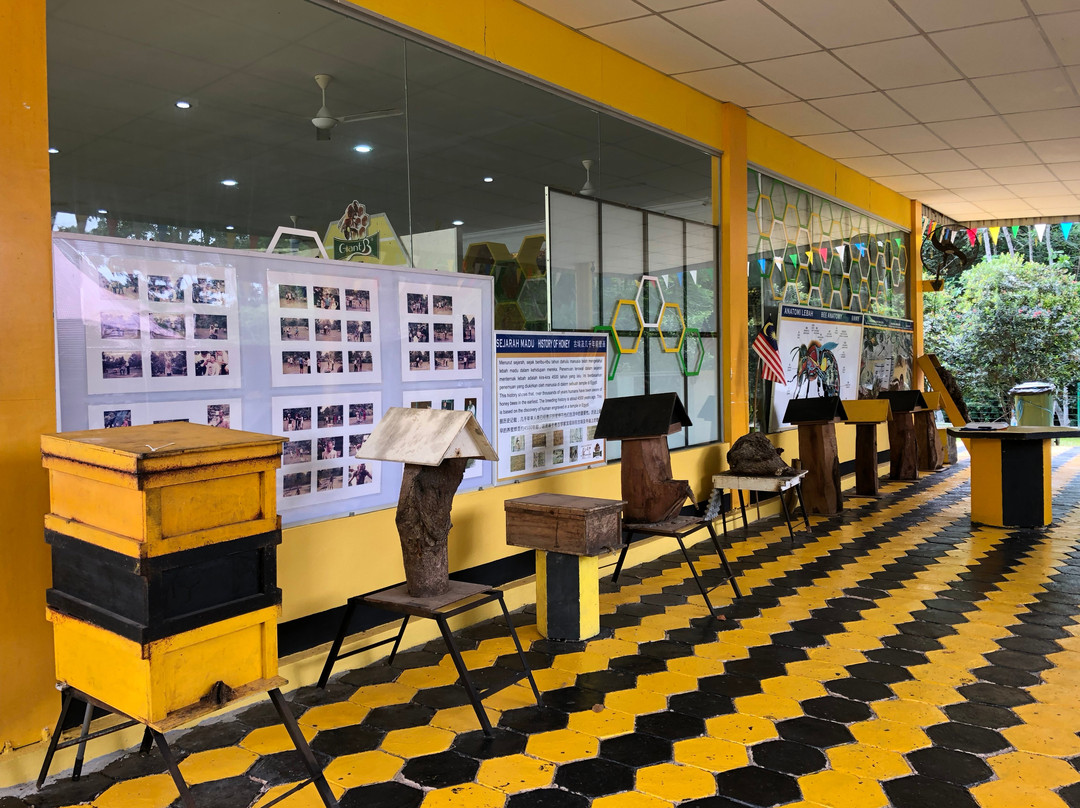 Bee Gallery Melaka-马六甲必去景点