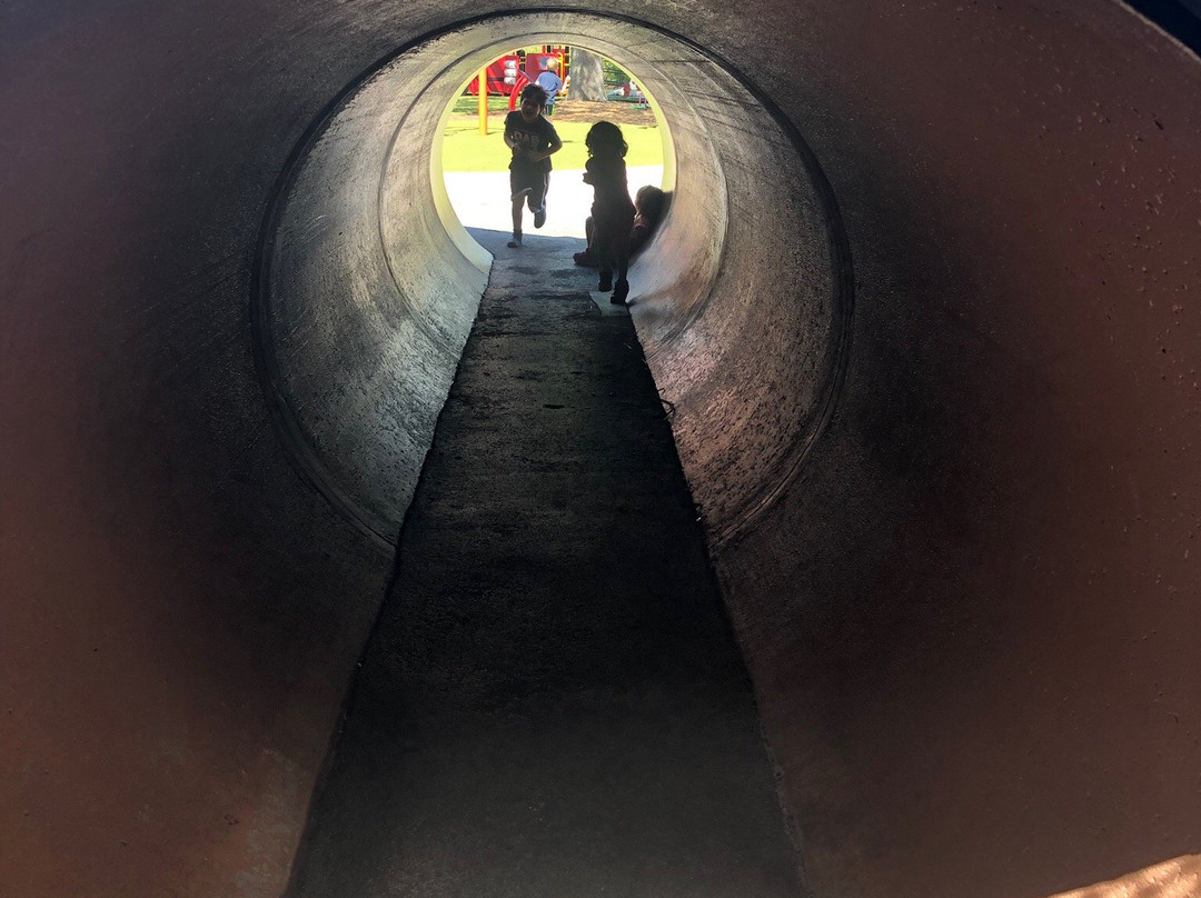 Common Ground Park-莱克兰必去景点