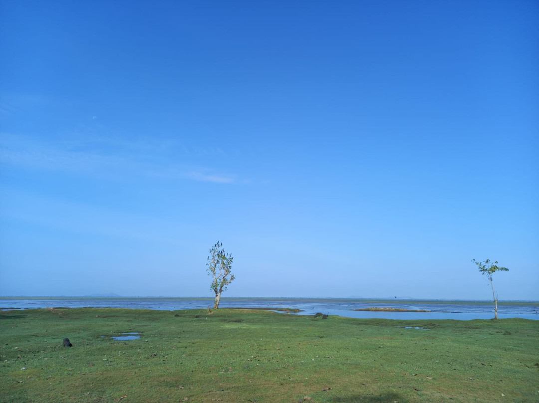 Ang Trapeng Thmor Reserve景点图片