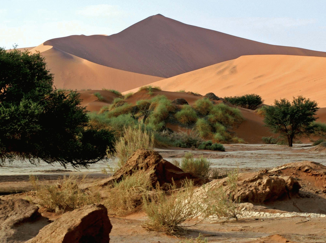 African Extravaganza-苏丝斯黎必去景点