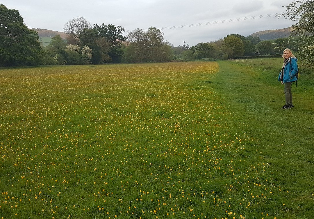 Elmsleigh Hay-on-wye B&b主图