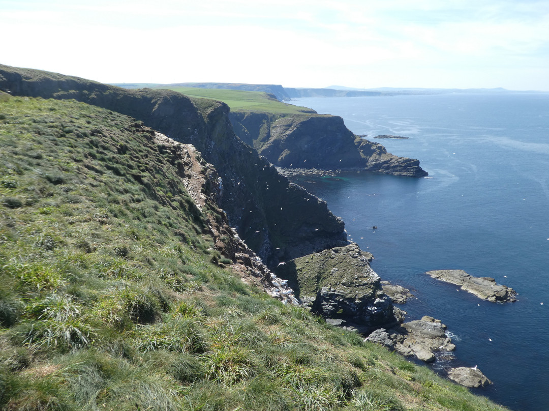 New Pitsligo旅游攻略图片