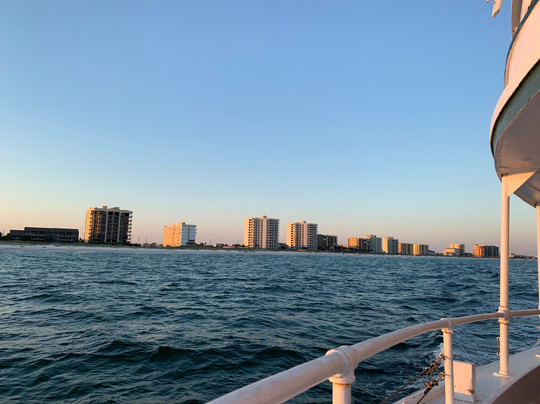 Southern Rose Dolphin Cruises-橙色海湾必去景点