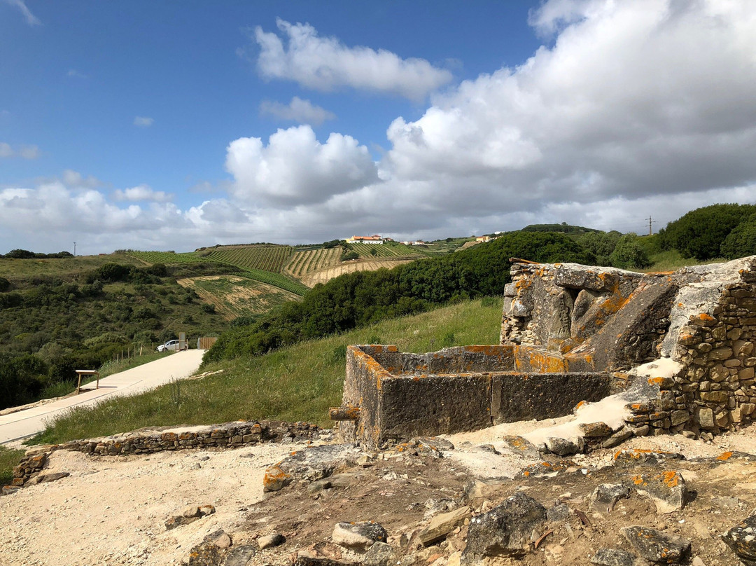 Sítio Arqueológico Castro do Zambujal景点图片